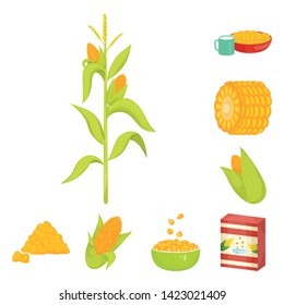 Vector design of maize and food symbol. Collection of maize and crop vector icon for stock.