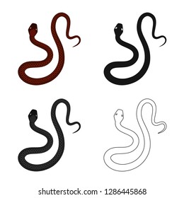 Vector design of mammal and danger icon. Set of mammal and medicine vector icon for stock.