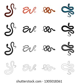 Vector design of mammal and danger icon. Collection of mammal and medicine stock symbol for web.