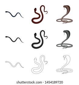 Vector design of mammal and danger icon. Collection of mammal and medicine vector icon for stock.