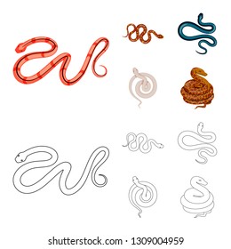 Vector design of mammal and danger logo. Set of mammal and medicine stock symbol for web.