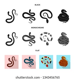 Vector design of mammal and danger logo. Collection of mammal and medicine stock vector illustration.