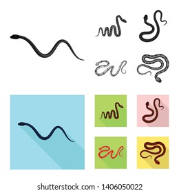 Vector design of mammal and danger logo. Collection of mammal and medicine stock vector illustration.
