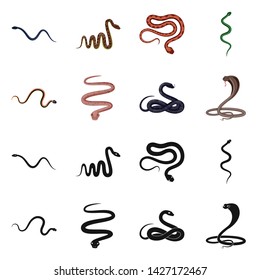 Vector design of mammal and danger logo. Collection of mammal and medicine stock symbol for web.