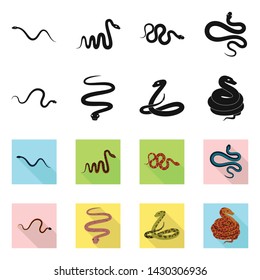 Vector design of mammal and danger logo. Set of mammal and medicine stock vector illustration.