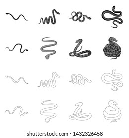 Vector design of mammal and danger logo. Collection of mammal and medicine stock vector illustration.