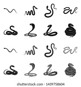 Vector design of mammal and danger logo. Collection of mammal and medicine stock vector illustration.