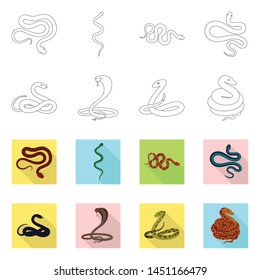 Vector design of mammal and danger logo. Collection of mammal and medicine stock vector illustration.