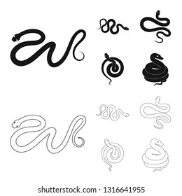 Vector design of mammal and danger sign. Set of mammal and medicine stock symbol for web.