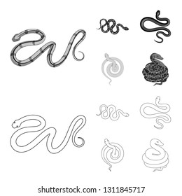 Vector design of mammal and danger symbol. Collection of mammal and medicine stock symbol for web.