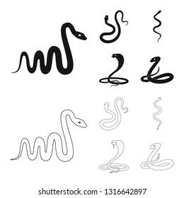 Vector design of mammal and danger symbol. Collection of mammal and medicine stock symbol for web.