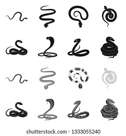 Vector design of mammal and danger symbol. Collection of mammal and medicine stock vector illustration.