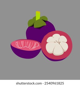 Diseño de Vector de fruta de mangostán con colores hermosos y tentadores, para portadas de libros o logotipos y otros