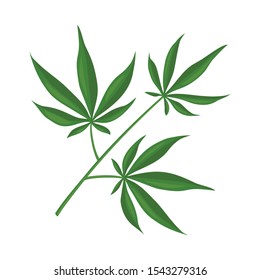 Vector design of marijuana and leaf symbol. Web element of marijuana and vegetation vector icon for stock.