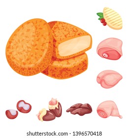 Vector design  meat and raw icon. Collection  meat and grilled stock vector illustration.