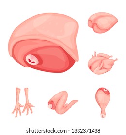 Vector design of meat and raw logo. Collection of meat and grilled stock symbol for web.