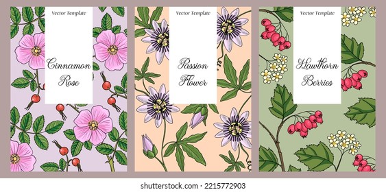 vector design with medicinal plants, floral labels with passion flower, cinnamon rose and hawthorn