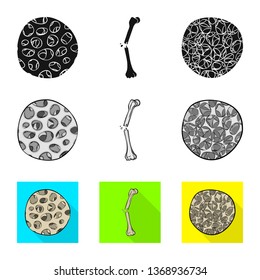 Vector design of medicine and clinic icon. Collection of medicine and medical vector icon for stock.