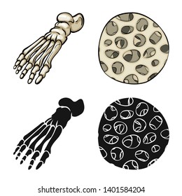 Vector design of medicine and clinic icon. Set of medicine and medical vector icon for stock.