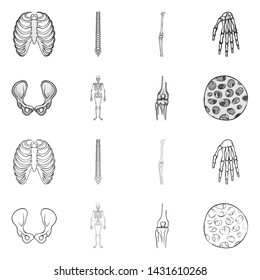 Vector design of medicine and clinic icon. Set of medicine and medical vector icon for stock.