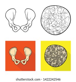 Vector design of medicine and clinic logo. Collection of medicine and medical stock symbol for web.