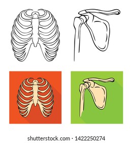 Vector design of medicine and clinic symbol. Collection of medicine and medical stock symbol for web.