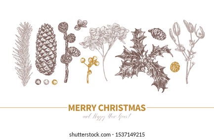 Vector design of Merry Christmas and Happy New Year with sketch engraved evergreen plants and flower. Etching botanical illustration. Cones, branches of fir, spruce, holly berries, mistletoe