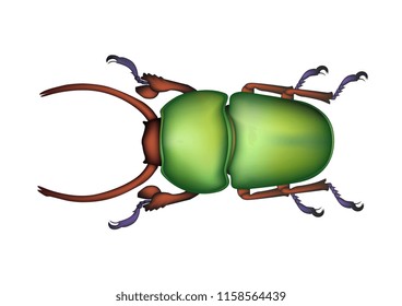vector design of mesh draw animal from forest 