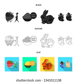 Vector design of modified food and animals