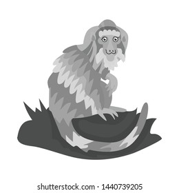 Vector design of monkey and animal logo. Set of monkey and ape vector icon for stock.