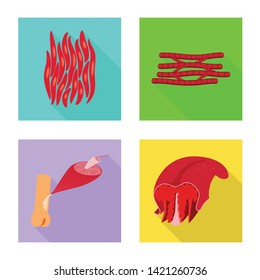 Vector design of muscle and cells icon. Collection of muscle and anatomy vector icon for stock.