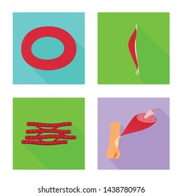 Vector design of muscle and cells icon. Collection of muscle and anatomy stock vector illustration.