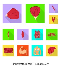 Vector design of muscle and cells logo. Set of muscle and anatomy stock symbol for web.