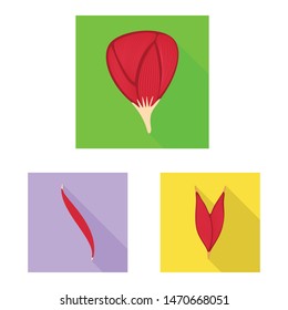Vector design of muscle and cells logo. Collection of muscle and anatomy stock vector illustration.