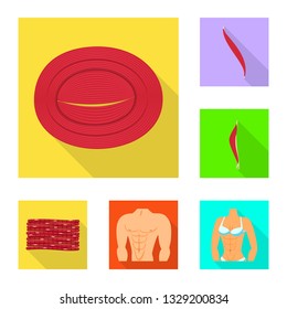 Vector design of muscle and cells sign. Collection of muscle and anatomy stock symbol for web.