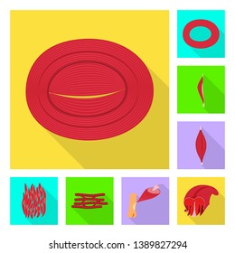 Vector design of muscle and cells sign. Collection of muscle and anatomy stock symbol for web.