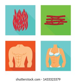 Vector design of muscle and cells symbol. Set of muscle and anatomy vector icon for stock.
