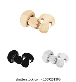 Vector design of mushroom  and champignon icon. Set of mushroom  and slice   stock vector illustration.