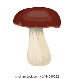 Vector design of mushroom and healthy symbol. Set of mushroom and white stock symbol for web.