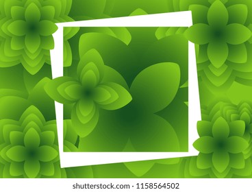 vector design natural leaf background with white frame