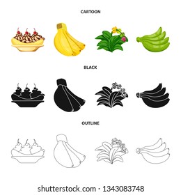 Vector design of natural and vegetarian icon. Set of natural and eating vector icon for stock.
