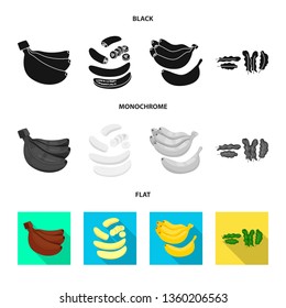 Vector design of natural and vegetarian icon. Collection of natural and eating vector icon for stock.