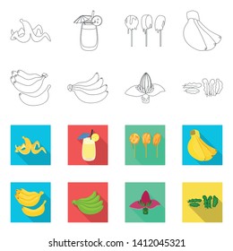 Vector design of natural and vegetarian icon. Collection of natural and eating stock symbol for web.
