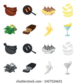 Vector design of natural and vegetarian icon. Collection of natural and eating vector icon for stock.