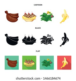 Vector design of natural and vegetarian icon. Set of natural and eating vector icon for stock.