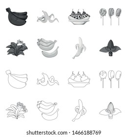 Vector design of natural and vegetarian icon. Collection of natural and eating vector icon for stock.