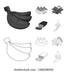 Vector design of natural and vegetarian sign. Collection of natural and eating stock vector illustration.