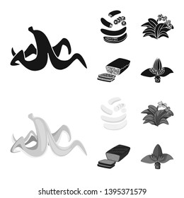 Vector design of natural and vegetarian symbol. Set of natural and eating stock vector illustration.
