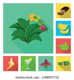 Vector design of natural and vegetarian symbol. Collection of natural and eating stock vector illustration.