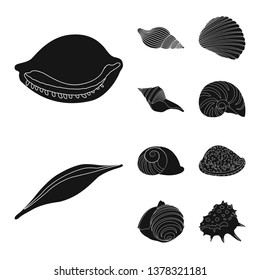 Vector design of nature  and ocean icon. Collection of nature  and mollusk stock vector illustration.